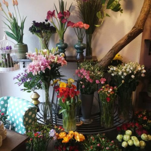 diverse Schnittblumen für Strauße und Arangements